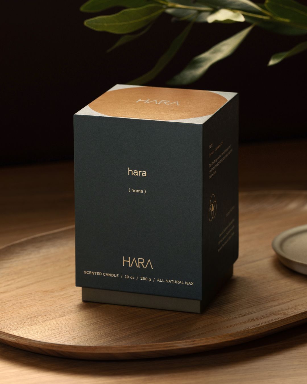 The Complete Collection