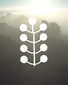 shinrin-yoku