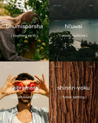 The Complete Collection
